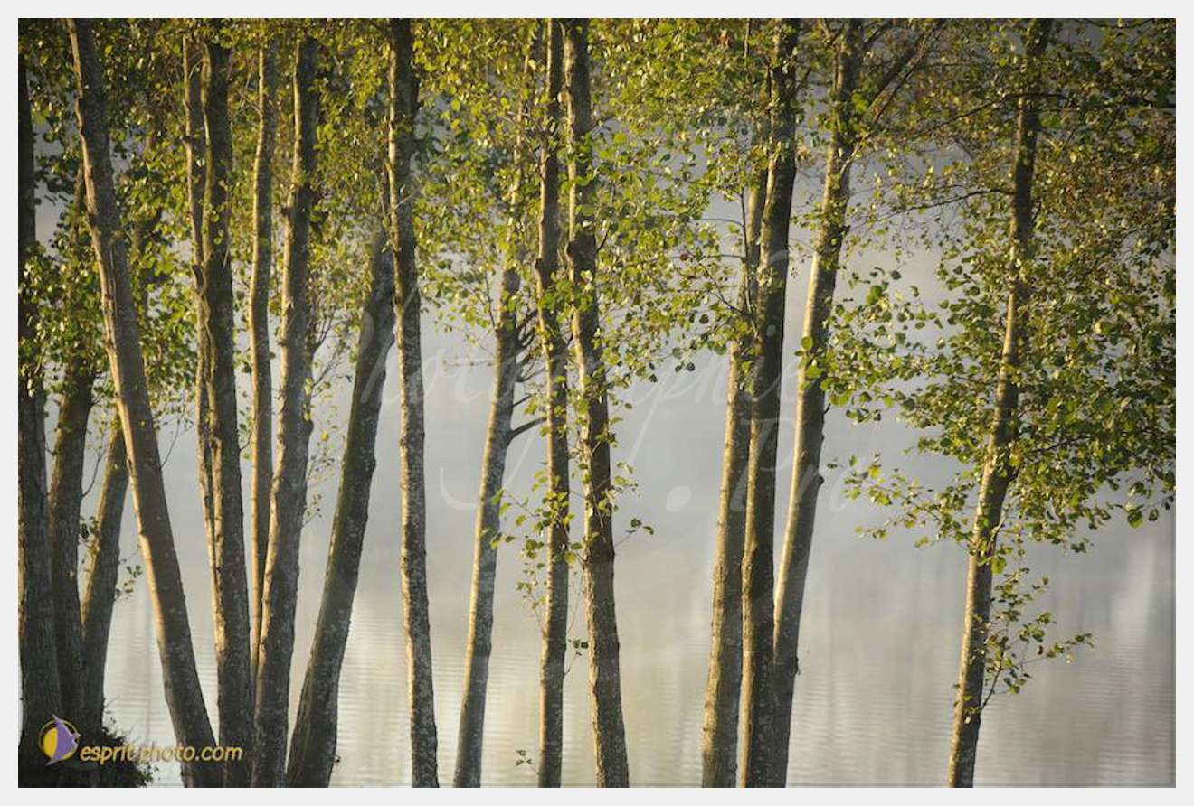 Nom de l'image : D30082682_1 — Description :