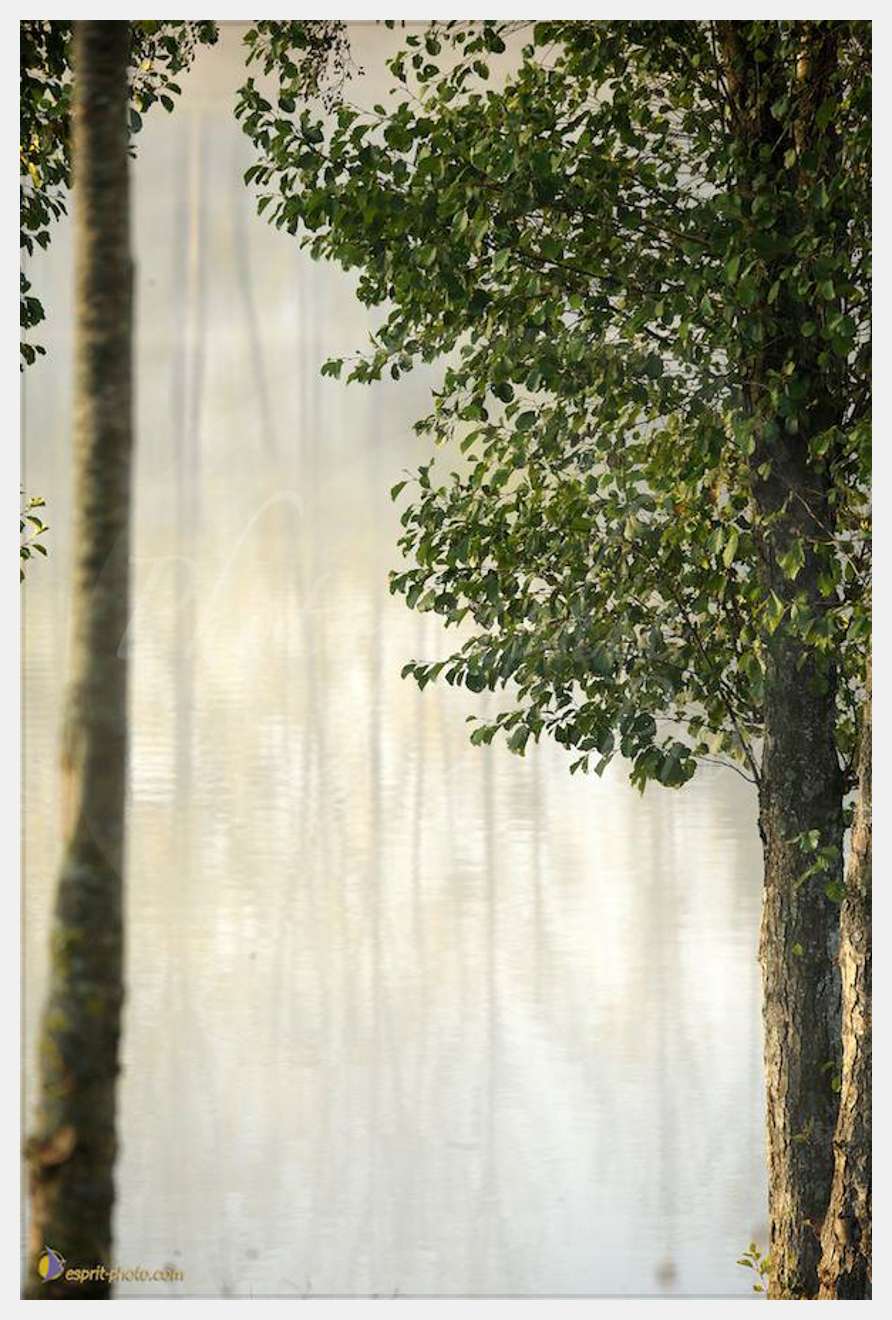 Nom de l'image : D30082686_1 — Description :