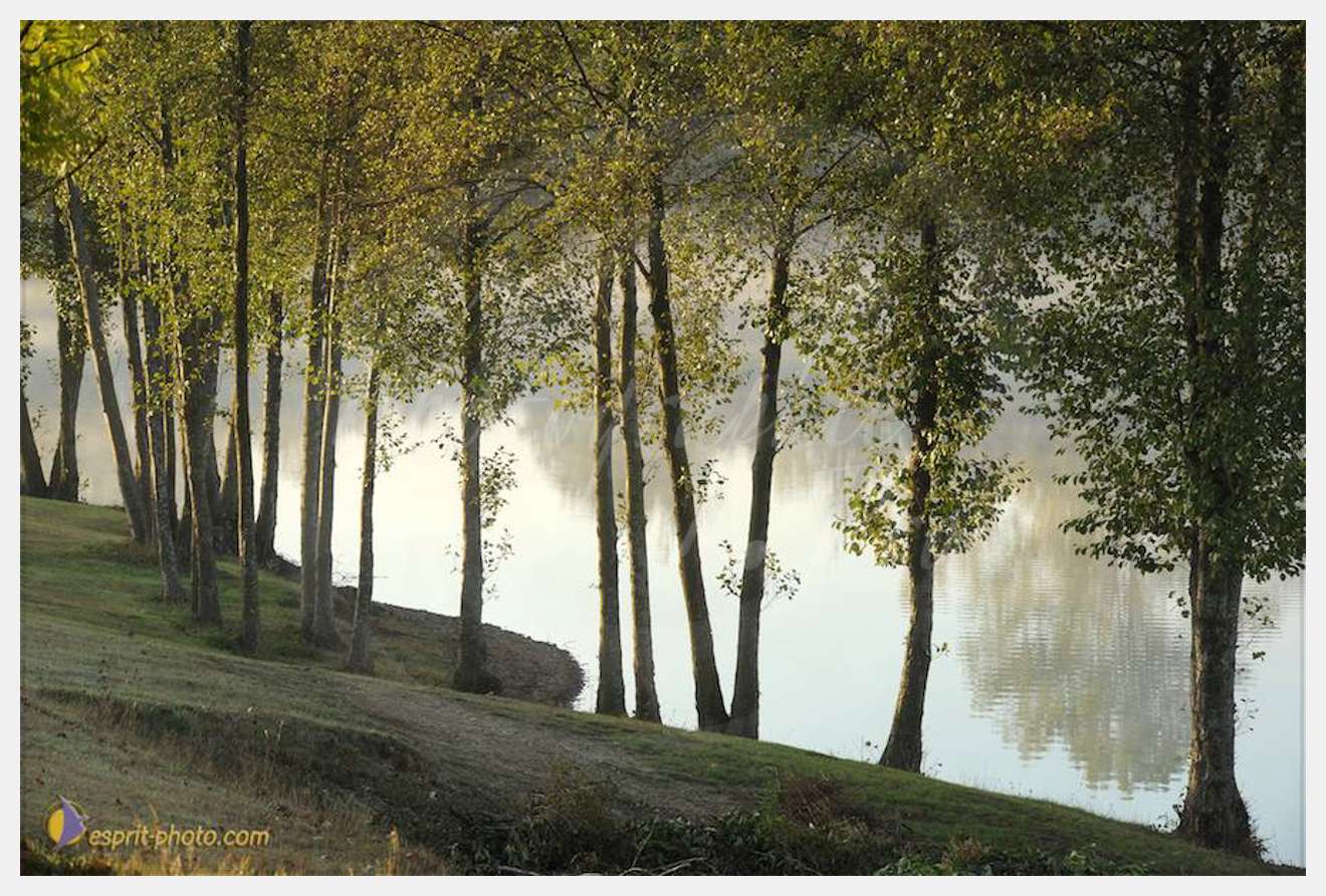 Nom de l'image : D30082688_1 — Description :