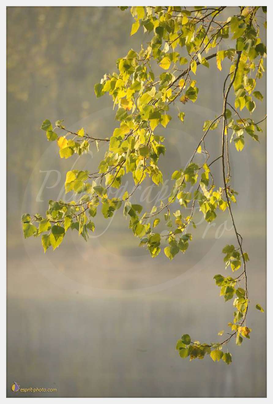 Nom de l'image : D30082691_1 — Description :