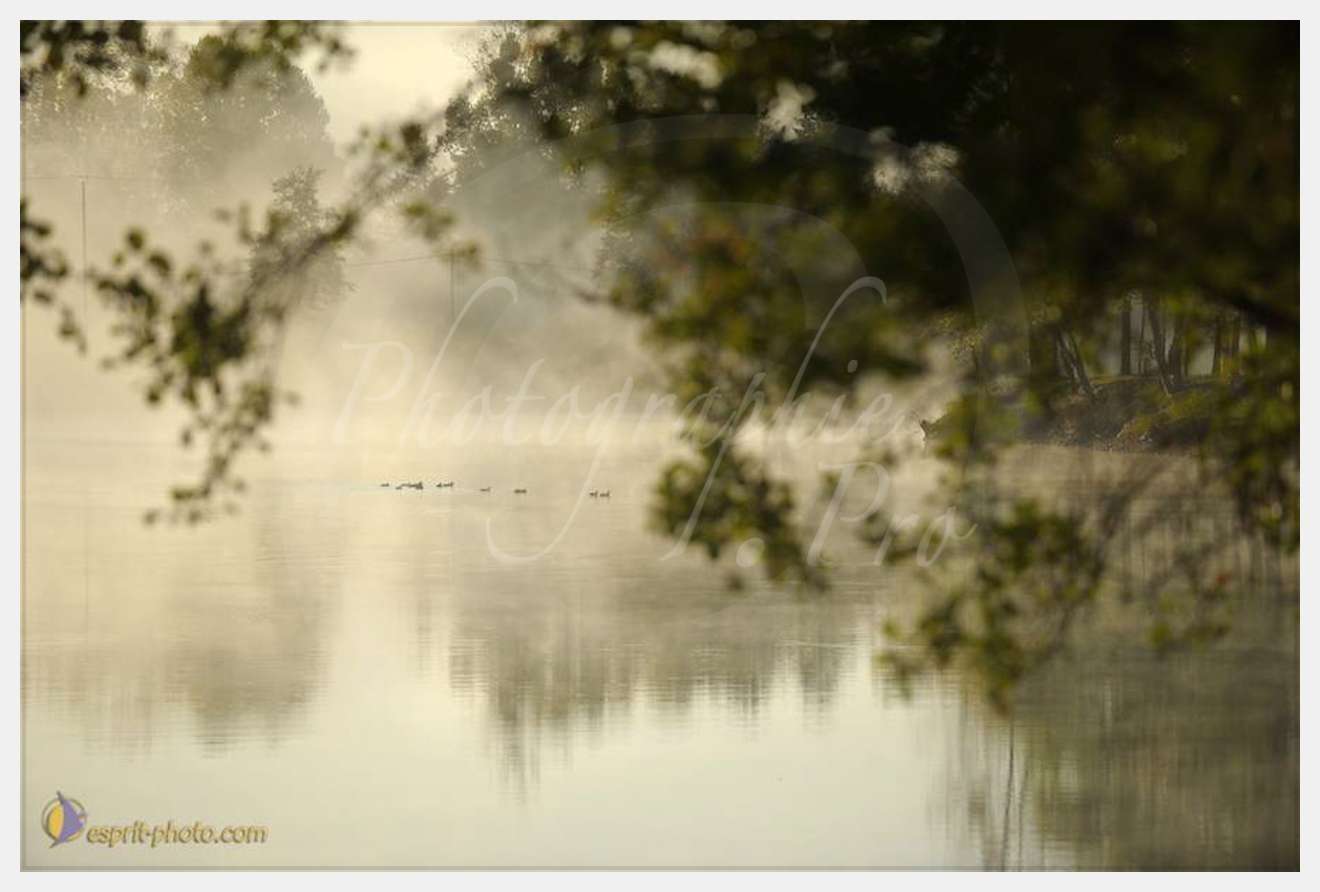 Nom de l'image : D30082732_1 — Description :