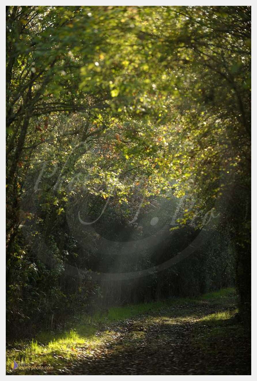 Nom de l'image : D30082977_1 — Description :