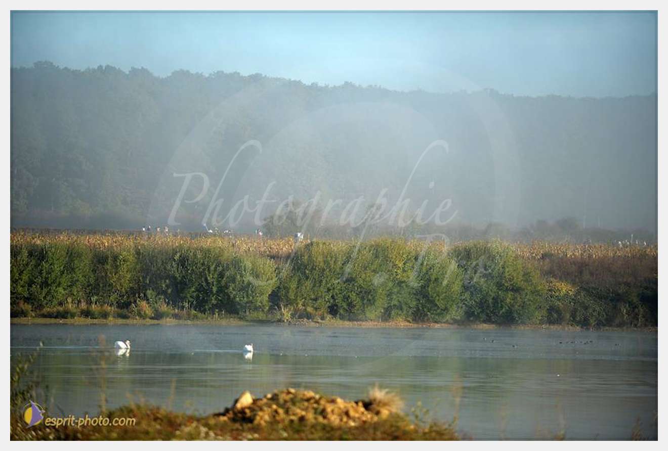 Nom de l'image : D30082982_1 — Description :