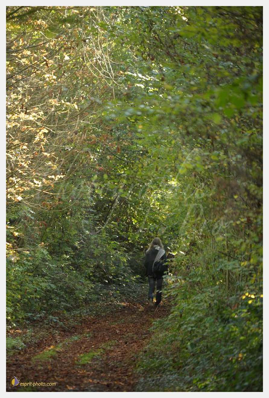 Nom de l'image : D30083162_1 — Description :