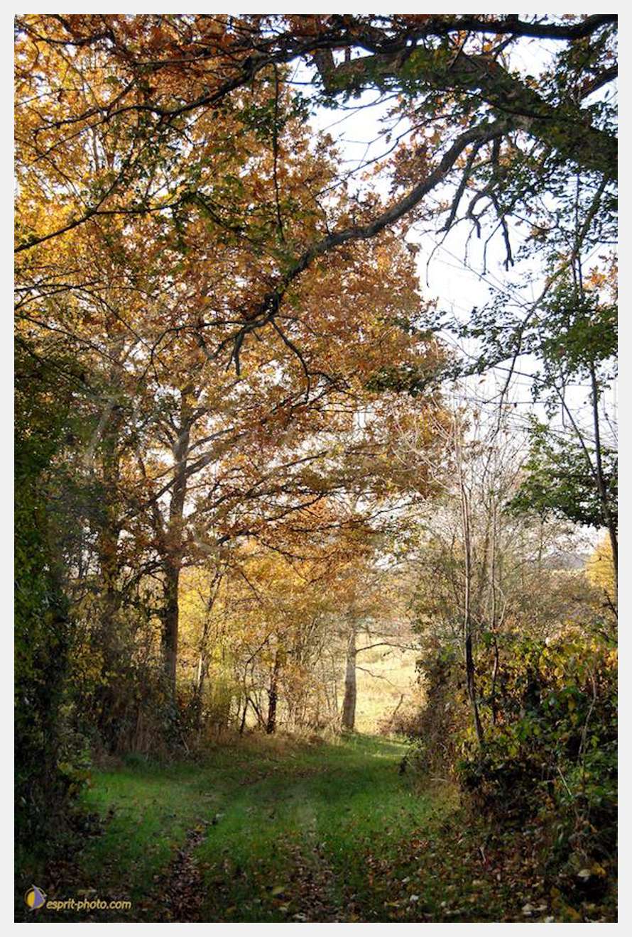 Nom de l'image : E2067736_1 — Description :