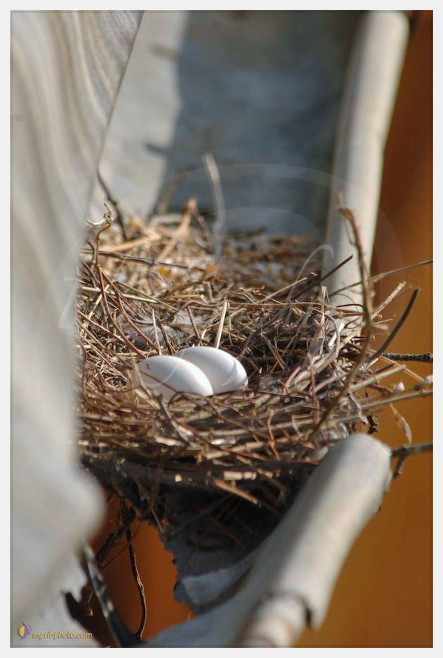 Nom de l'image : D2182982_1 — Description :