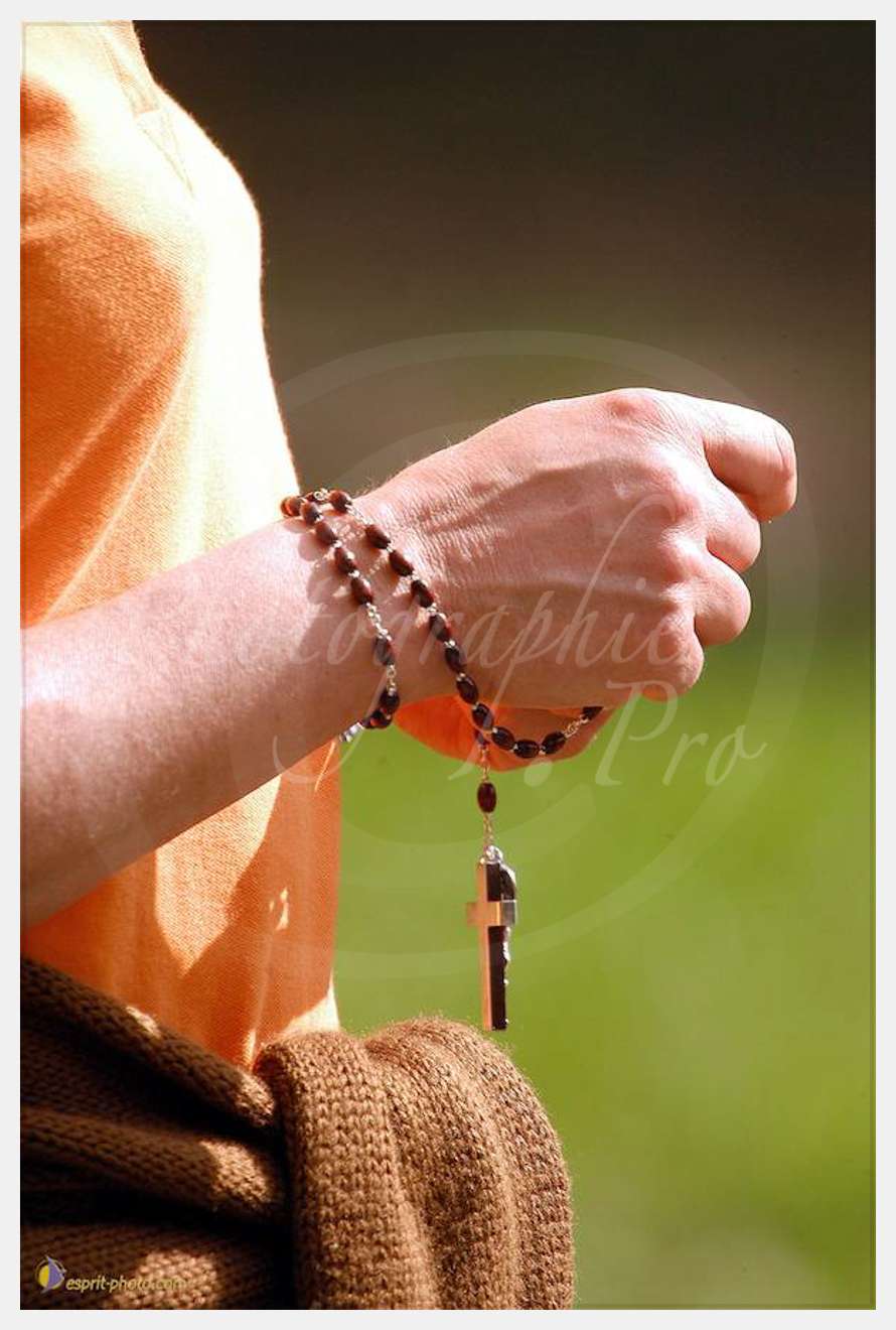 Nom de l'image : D1135018-01 — Description :