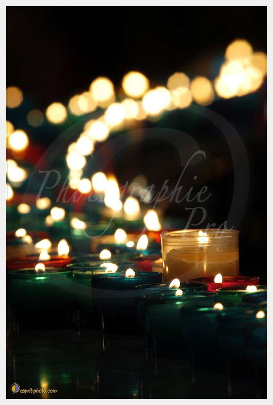 Nom de l'image : D1191664-1 — Description :  Paris - Toussaint 2004