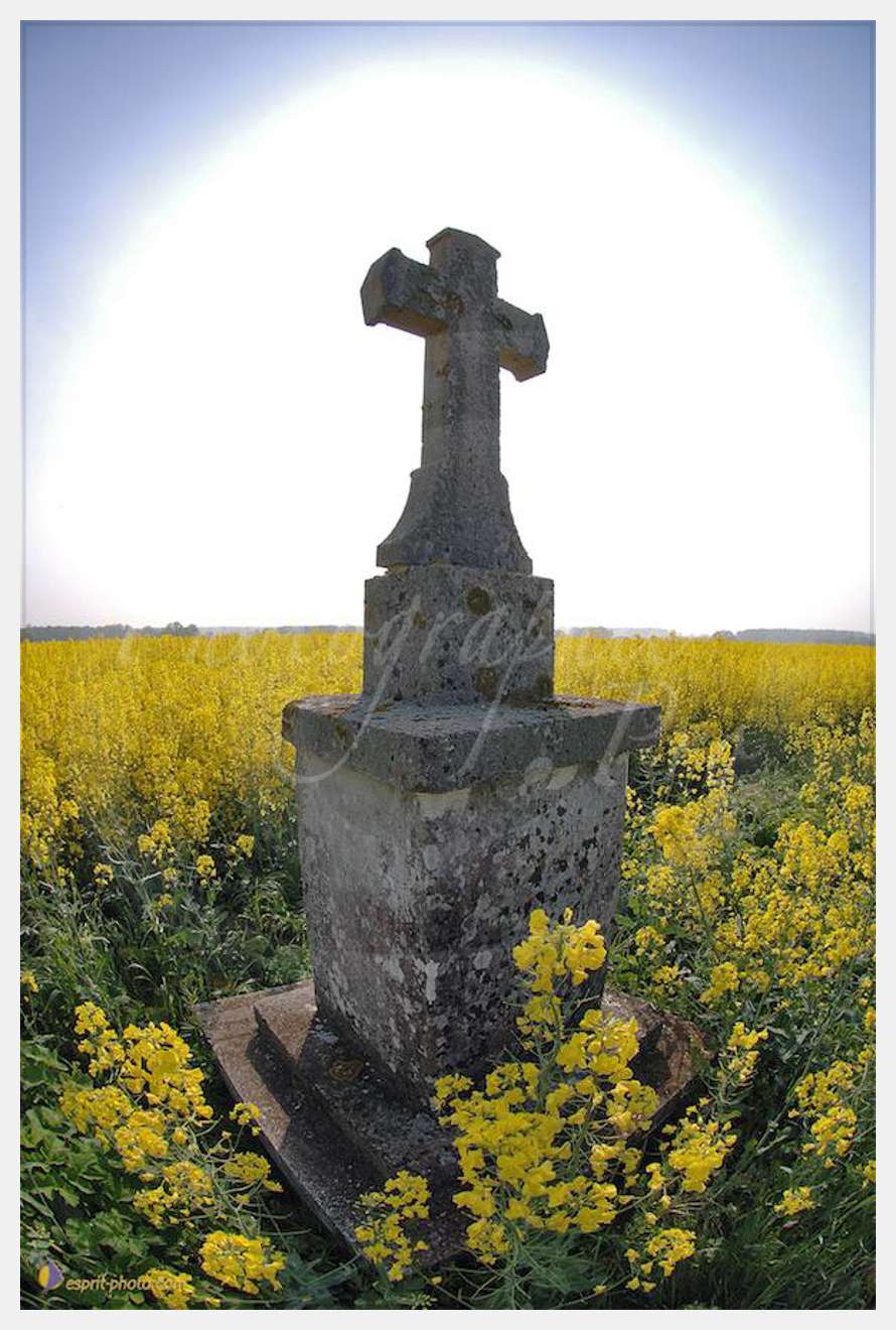 Nom de l'image : D2162669_1 — Description :