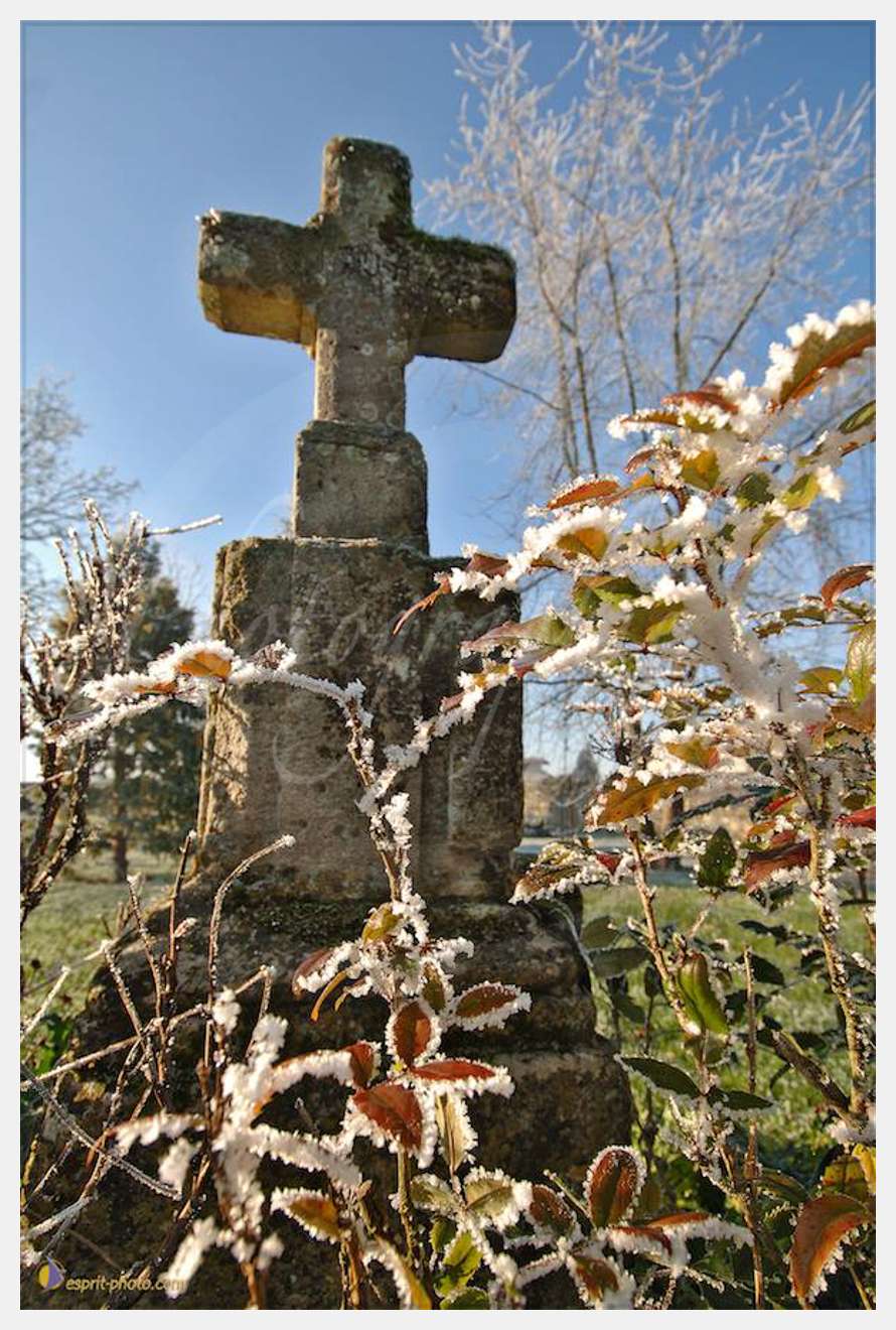 Nom de l'image : D2201136_1 — Description :