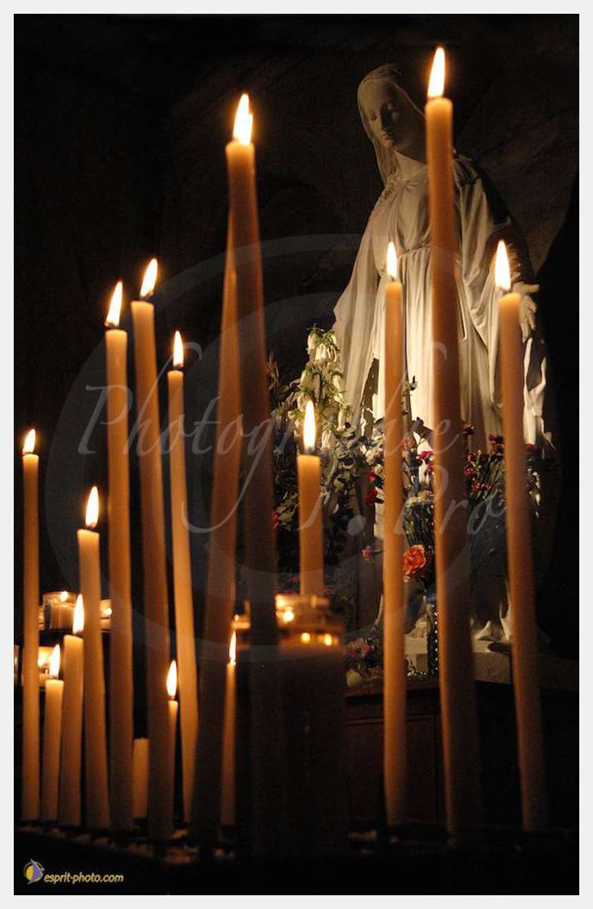 Nom de l'image : DSC_2458 — Description :