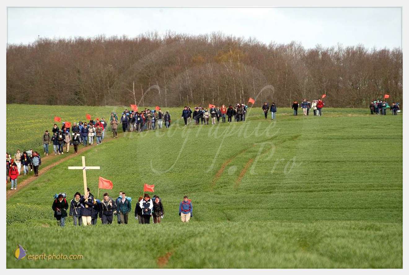 Nom de l'image : D1120109-01 — Description :  PE?lerinage de Chartres 2004