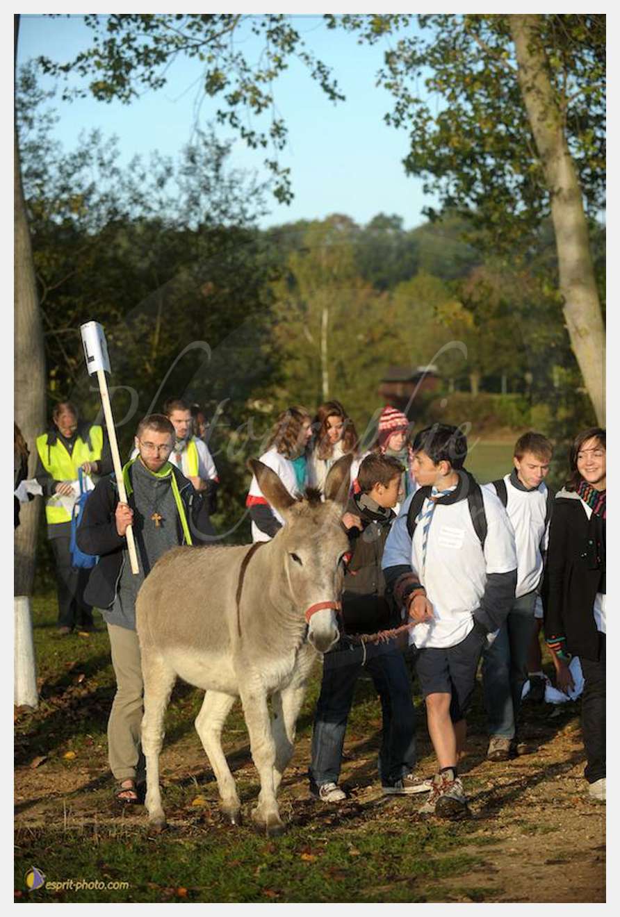 Nom de l'image : D30082852_1 — Description :