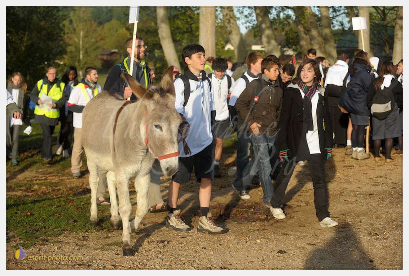 Nom de l'image : D30082853_1 — Description :