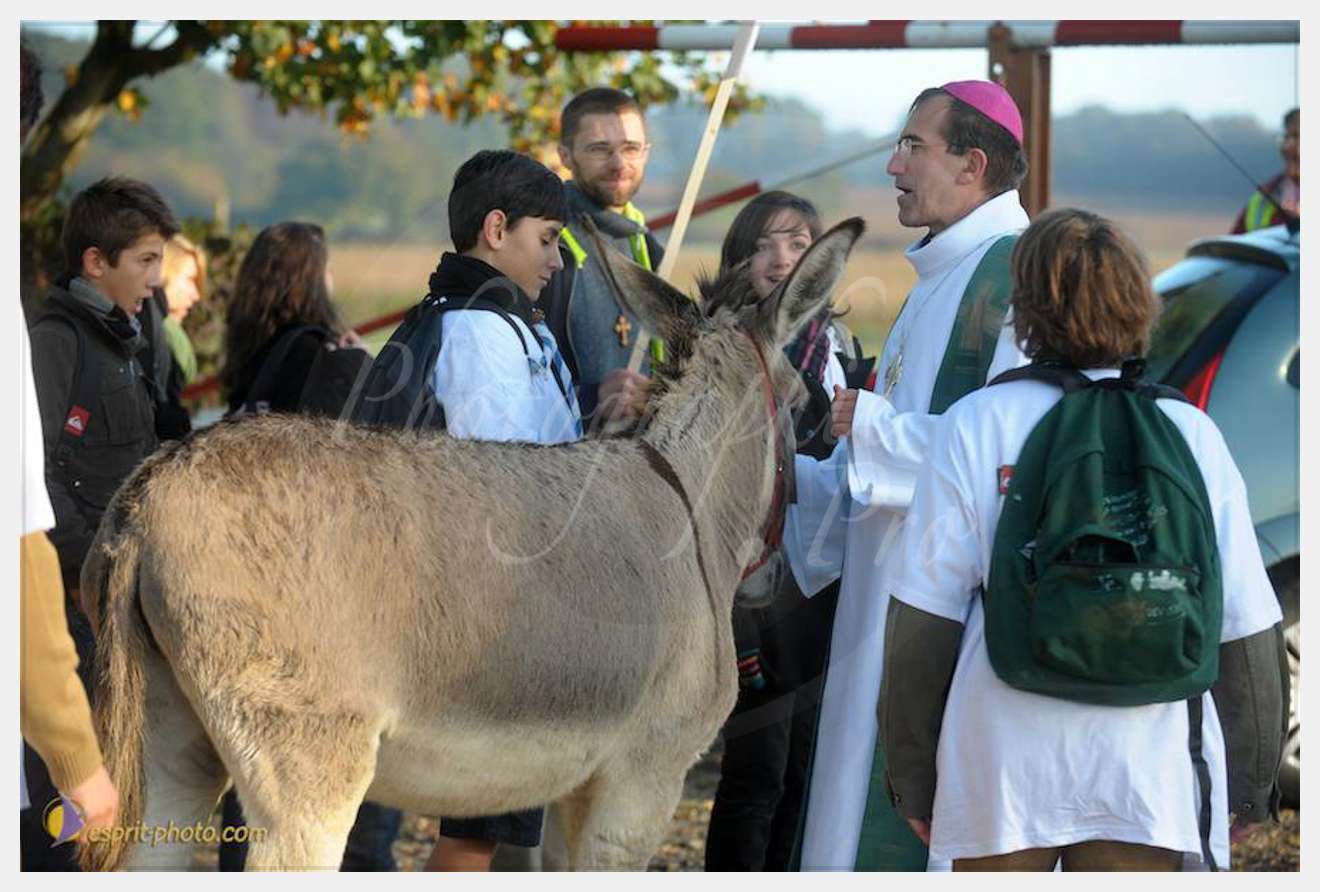 Nom de l'image : D30082856_1 — Description :