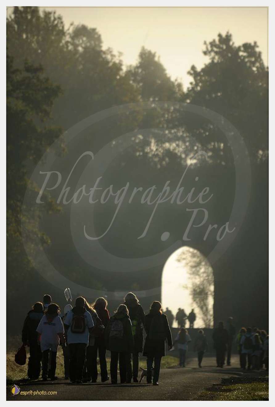 Nom de l'image : D30082876_1 — Description :