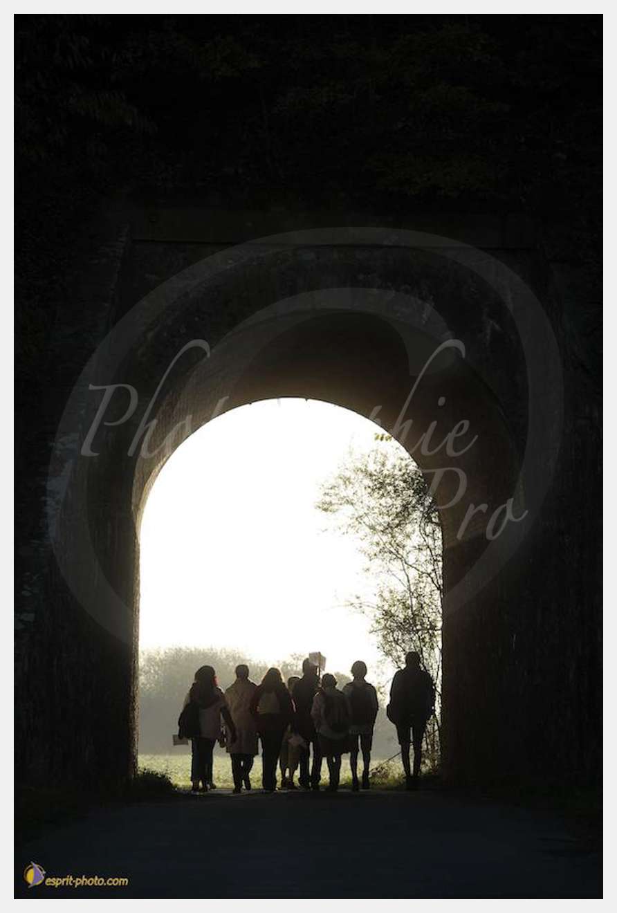 Nom de l'image : D30082930_1 — Description :