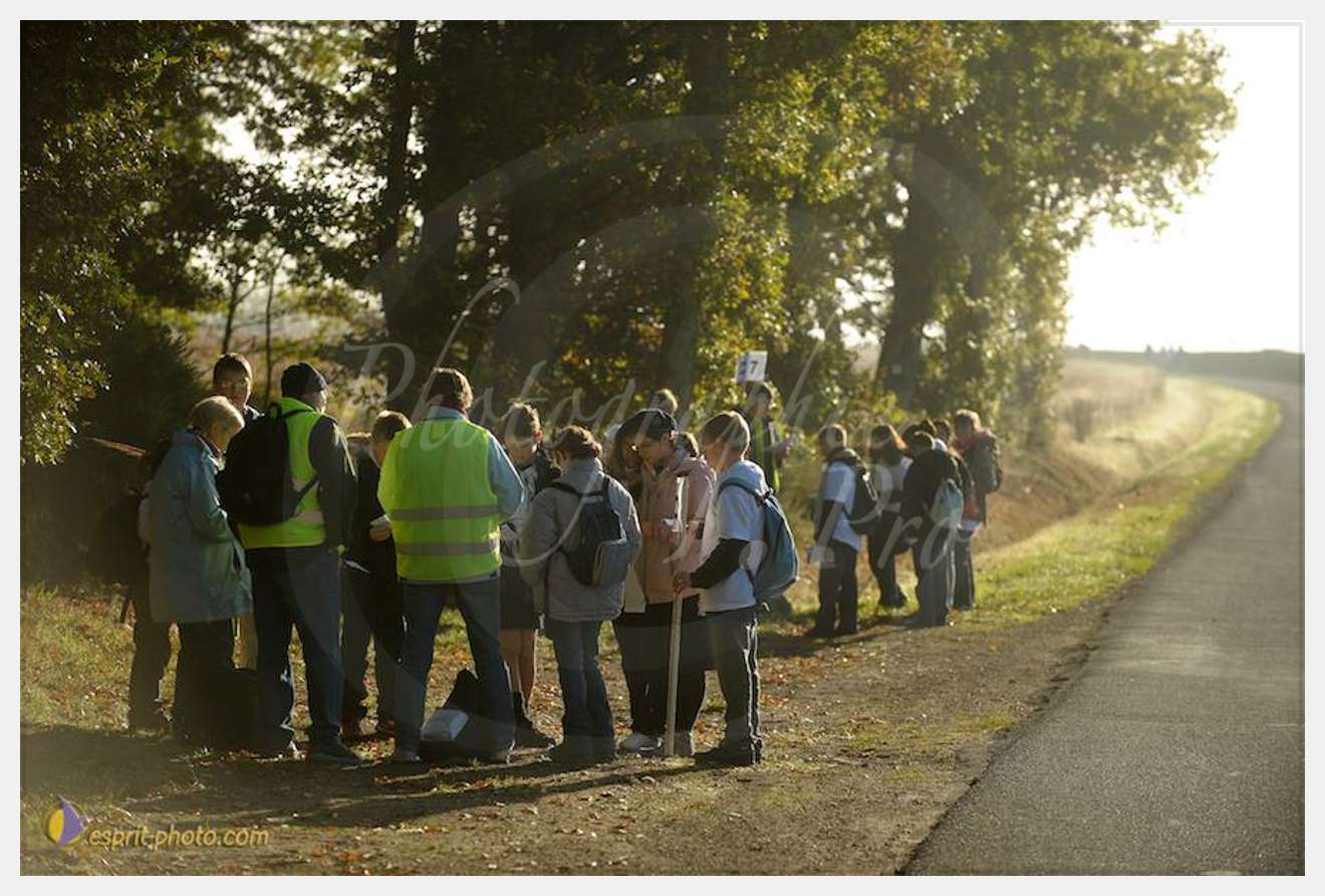 Nom de l'image : D30082949_1 — Description :