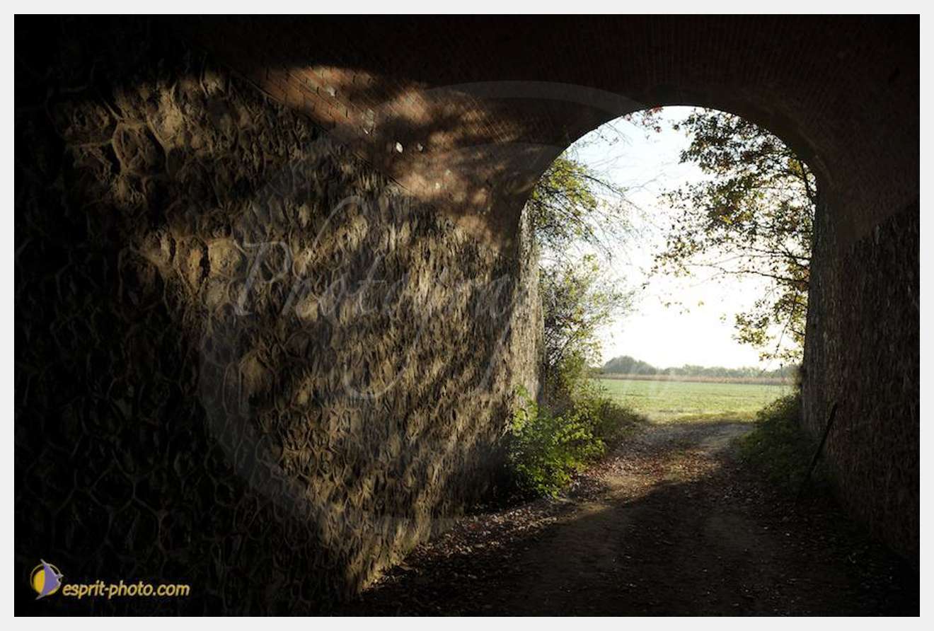 Nom de l'image : D30082954_1 — Description :