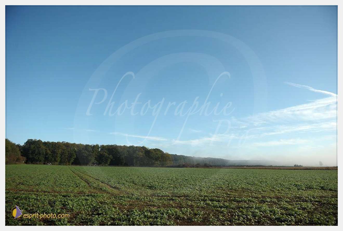 Nom de l'image : D30082957_1-2 — Description :