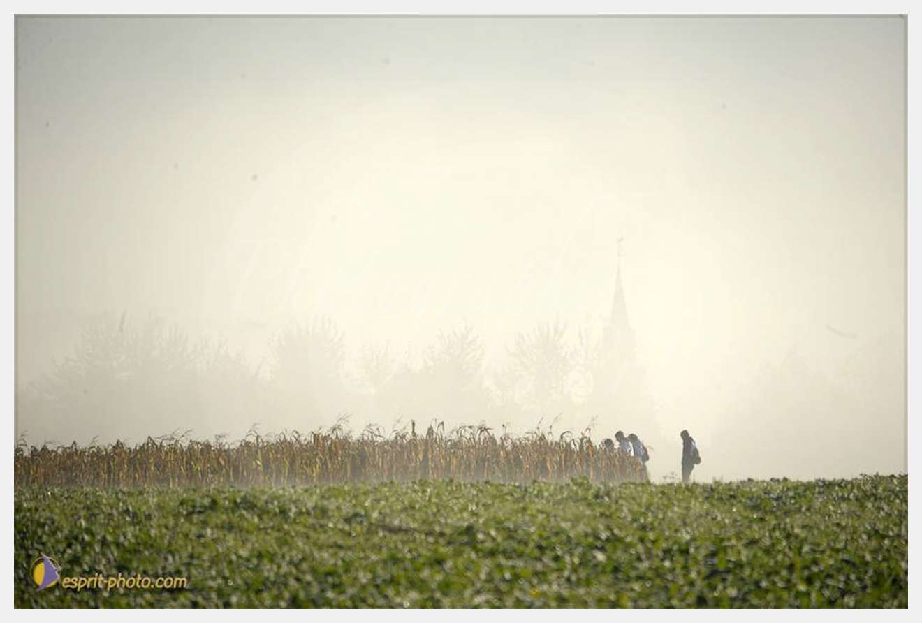 Nom de l'image : D30083029_1 — Description :