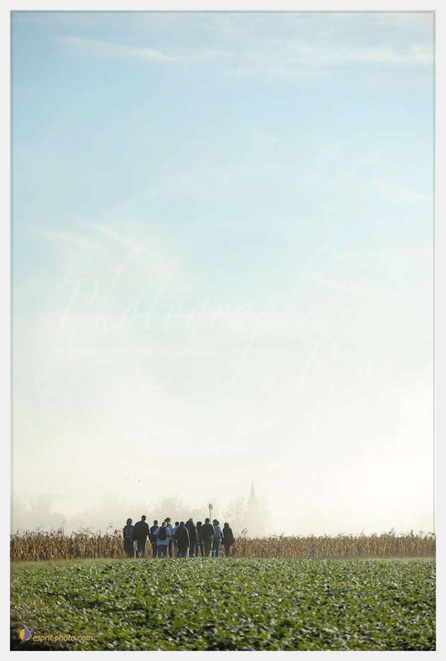 Nom de l'image : D30083033_1 — Description :