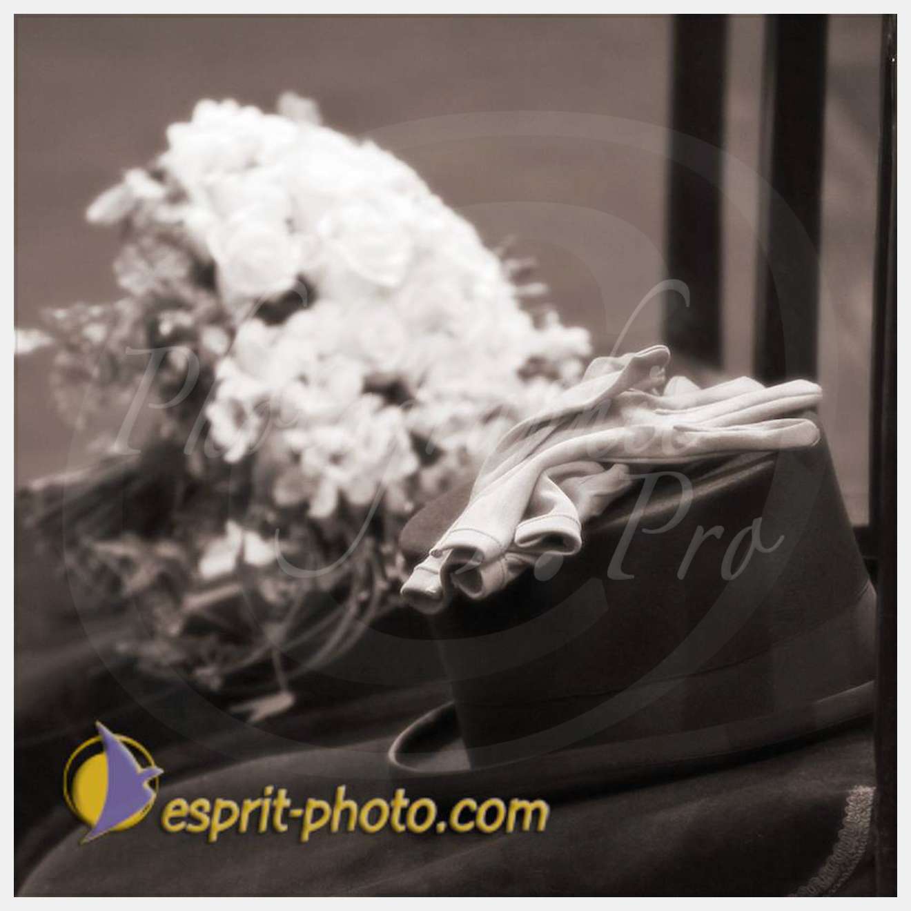 Nom de l'image : 20090103-152404-D30040084_0618-2sp — Description :