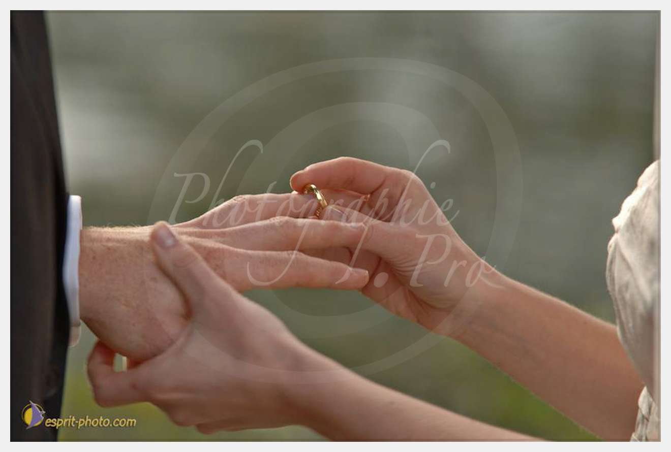 Nom de l'image : D2064280_1 — Description :