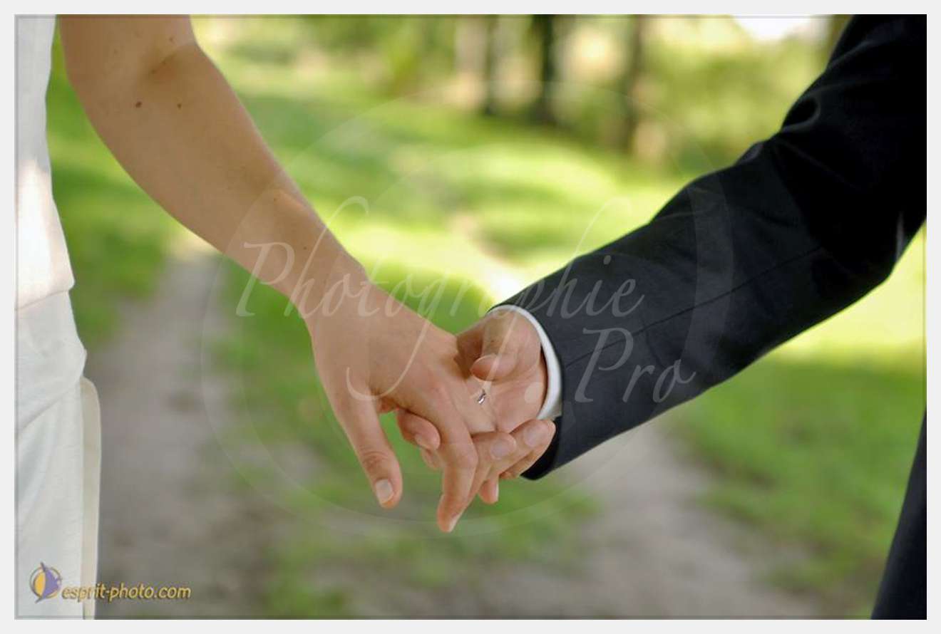 Nom de l'image : D2234928_1 — Description :