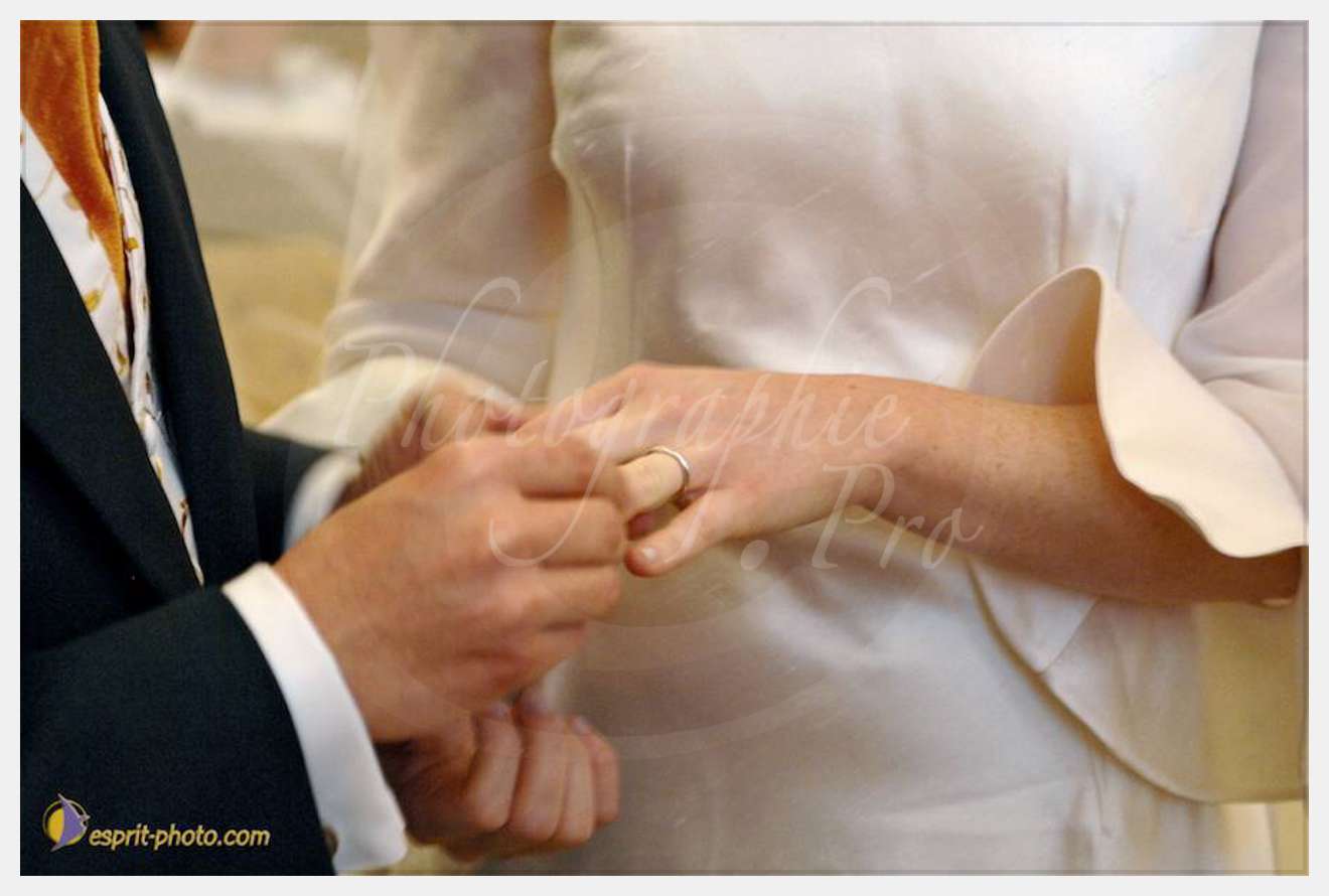 Nom de l'image : D2249946_1 — Description :