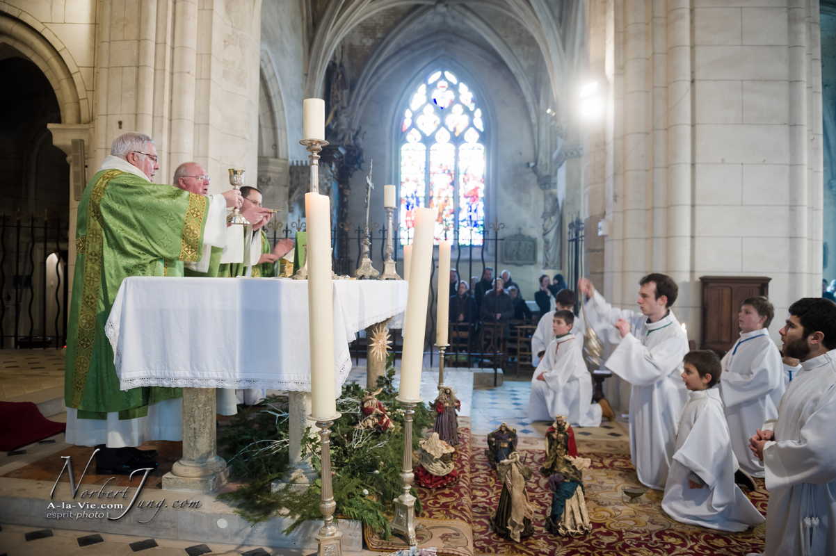 Nom de l'image : Messe-a-Notre-Dame_2013-01-27__(c)Norbert-Jung.com_D3s096411 — Description :