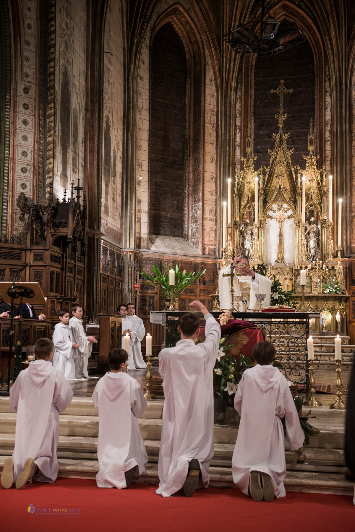 Nom de l'image : D8e086255 — Description :