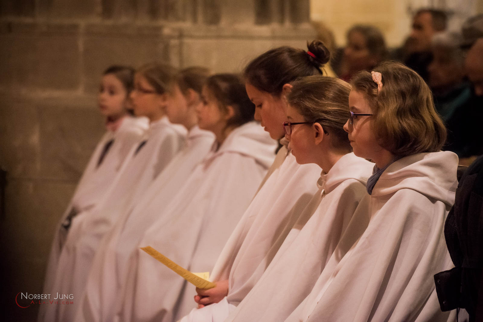 Nom de l'image : 160324_19h26_D8e093075_(c)A-la-Vie.com — Description :