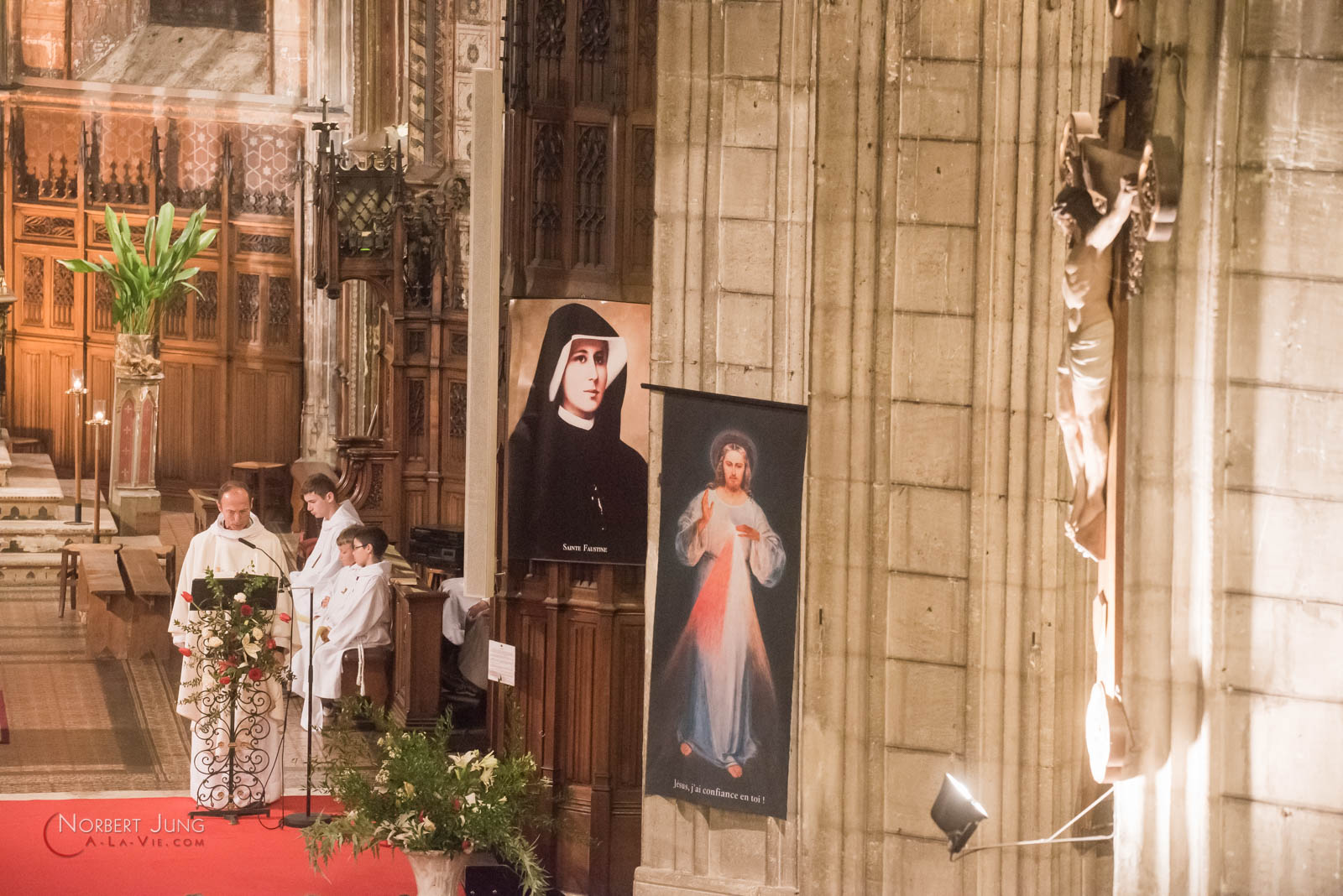 Nom de l'image : 160324_19h39_D8e093100_(c)A-la-Vie.com — Description :