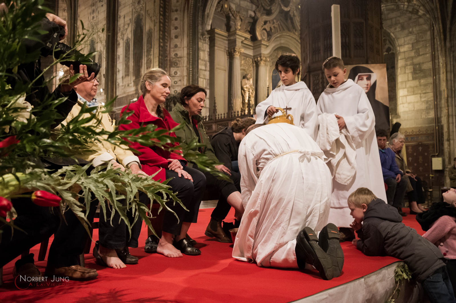 Nom de l'image : 160324_19h49_D3s126895_(c)A-la-Vie.com — Description :