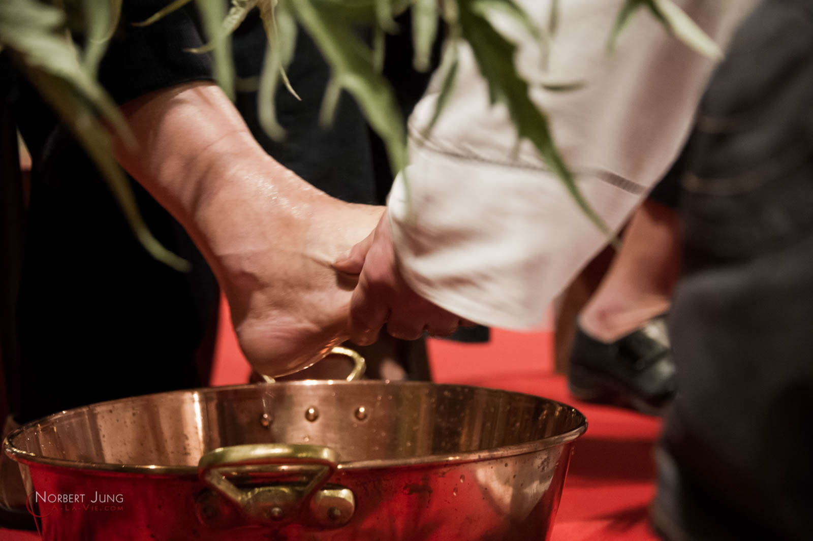 Nom de l'image : 160324_19h50_D3s126901_(c)A-la-Vie.com — Description :