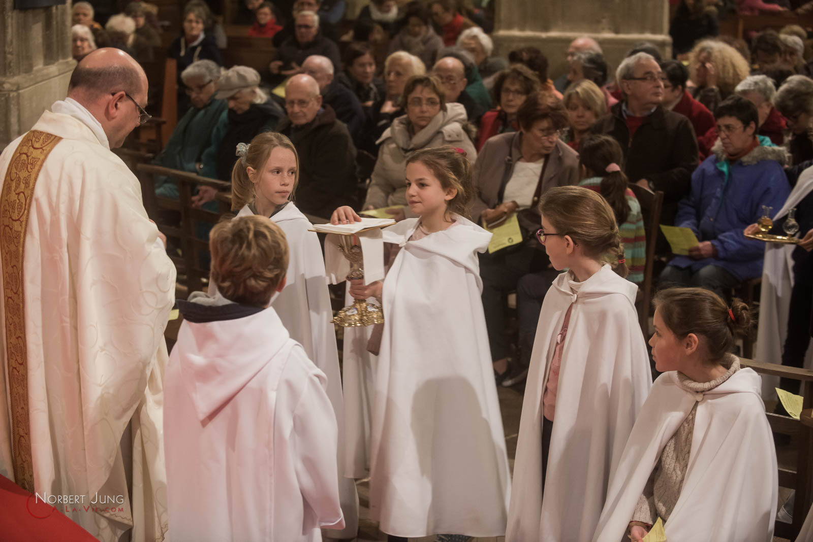 Nom de l'image : 160324_19h53_D8e093137_(c)A-la-Vie.com — Description :