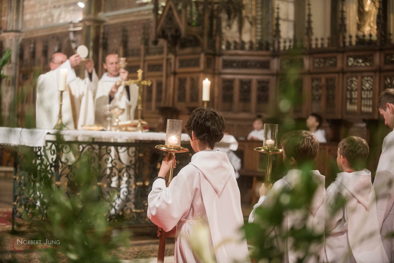 Nom de l'image : 160324_20h07_D8e093158_(c)A-la-Vie.com — Description :