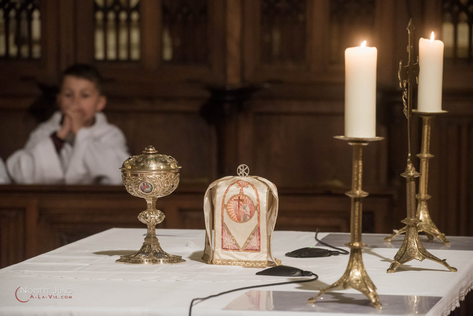 Nom de l'image : 160324_20h23_D8e093172_(c)A-la-Vie.com — Description :