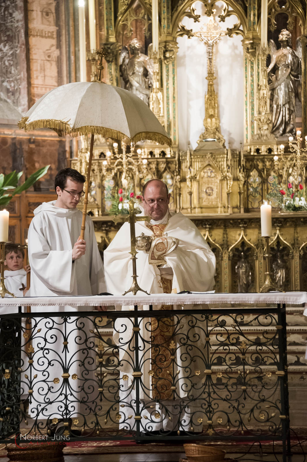 Nom de l'image : 160324_20h27_D3s126916_(c)A-la-Vie.com — Description :