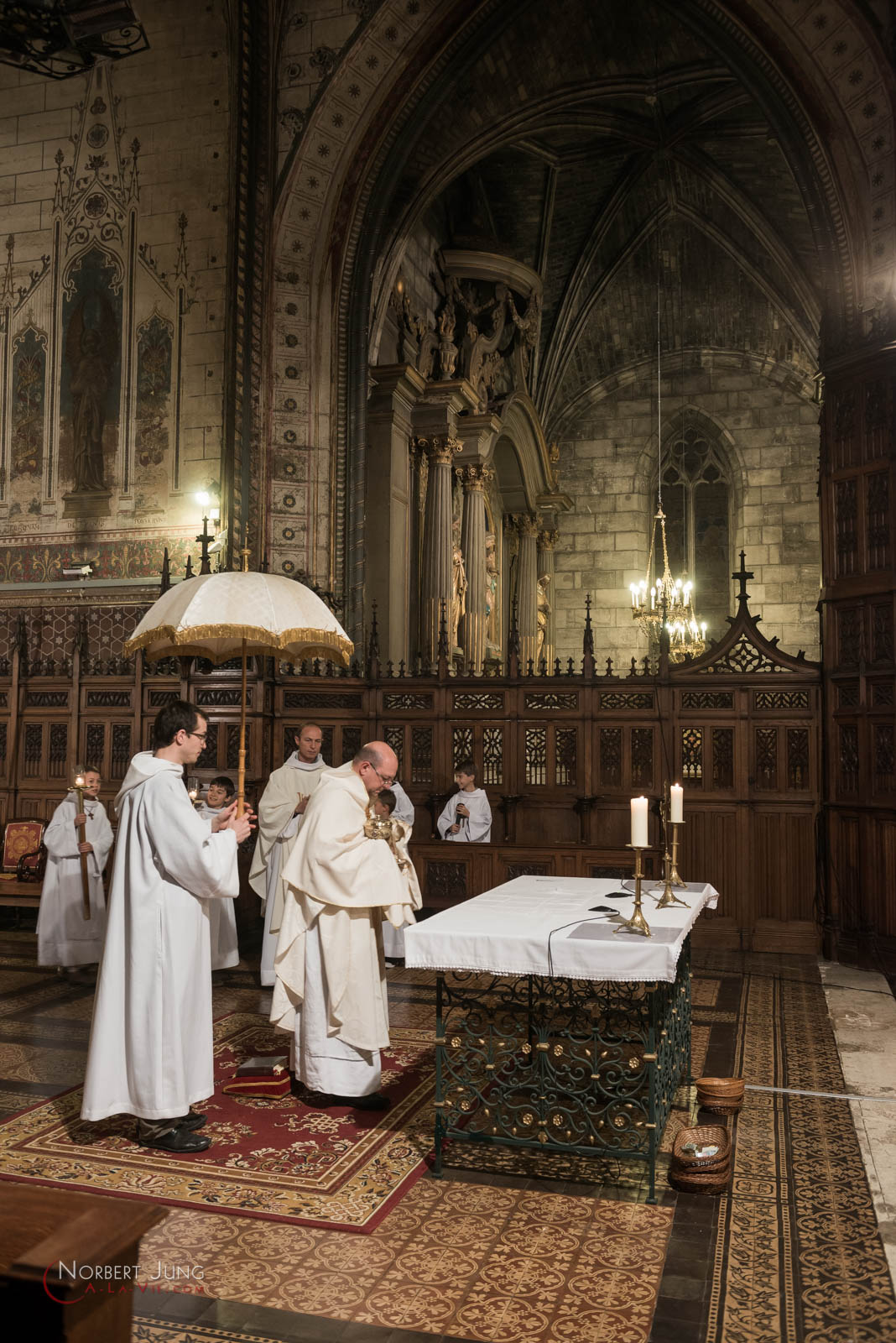 Nom de l'image : 160324_20h27_D8e093183_(c)A-la-Vie.com — Description :