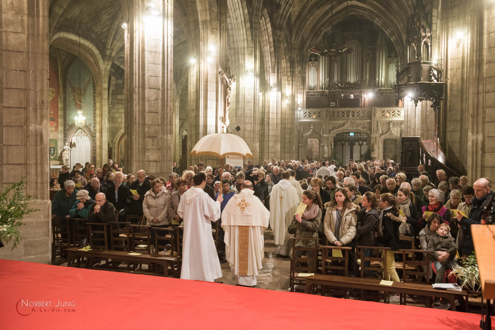 Nom de l'image : 160324_20h28_D8e093192_(c)A-la-Vie.com — Description :