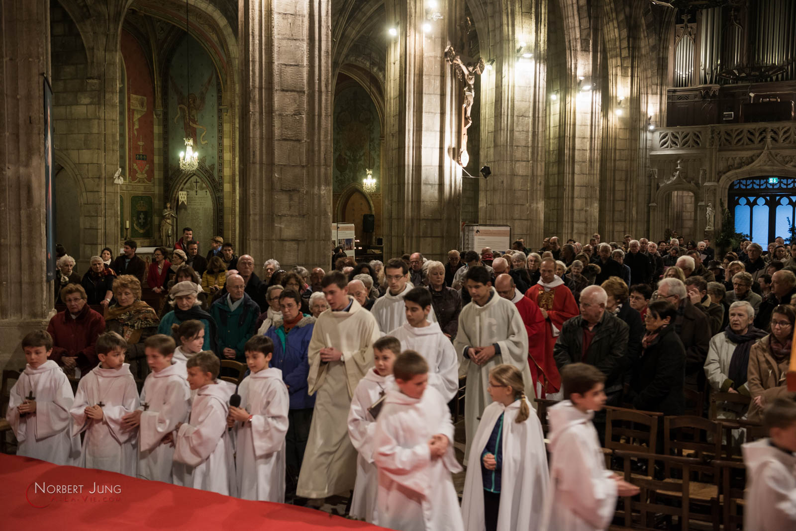 Nom de l'image : 160325_19h05_D8e093316_(c)A-la-Vie.com — Description :