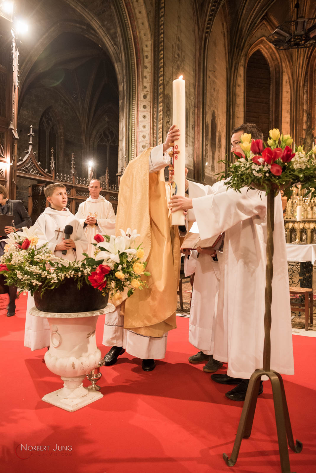 Nom de l'image : 160326_22h25_D8e093595_(c)A-la-Vie.com — Description :