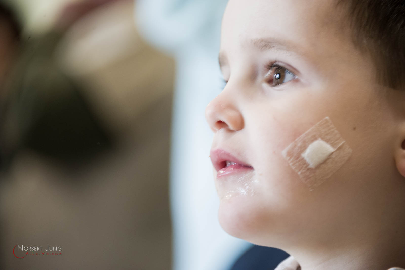 Nom de l'image : 160327_12h33_D3s127192_(c)A-la-Vie.com — Description :