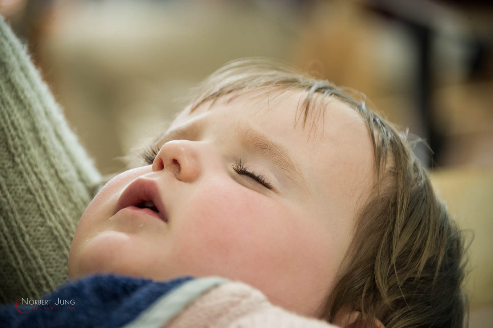 Nom de l'image : 160327_15h04_D3s127248_(c)A-la-Vie.com — Description :