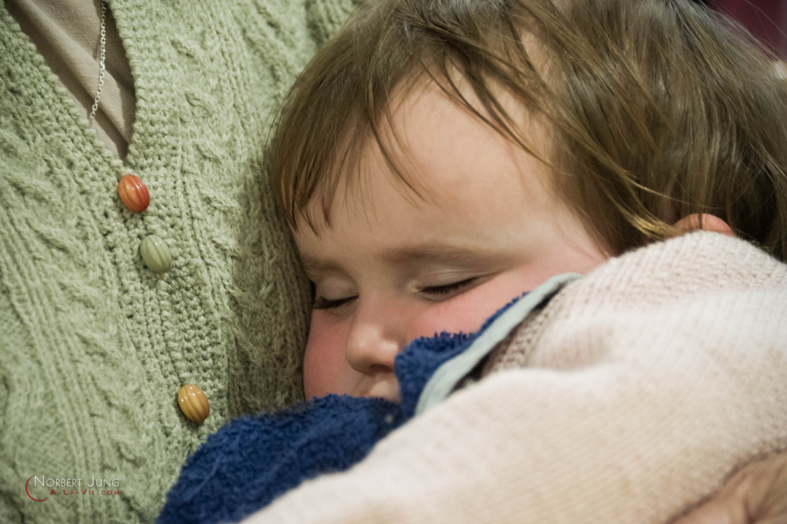 Nom de l'image : 160327_15h10_D3s127250_(c)A-la-Vie.com — Description :