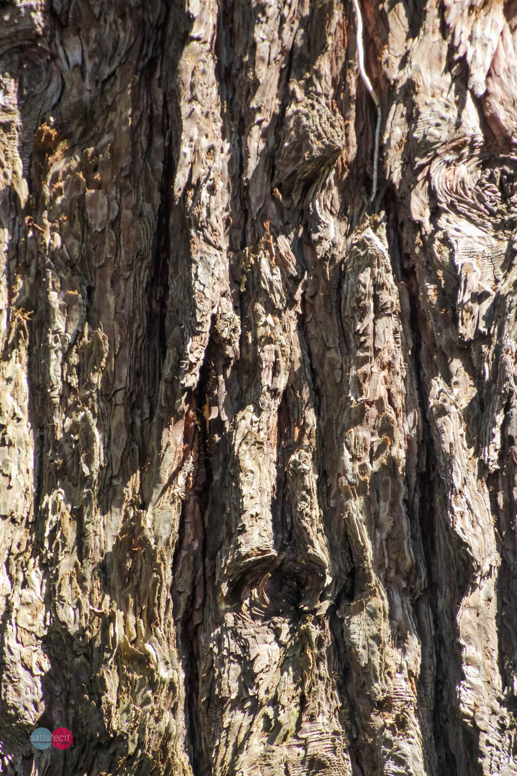 Nom de l'image : 10_123202_0355_N.JUNG_Photographie.Pro — Description :