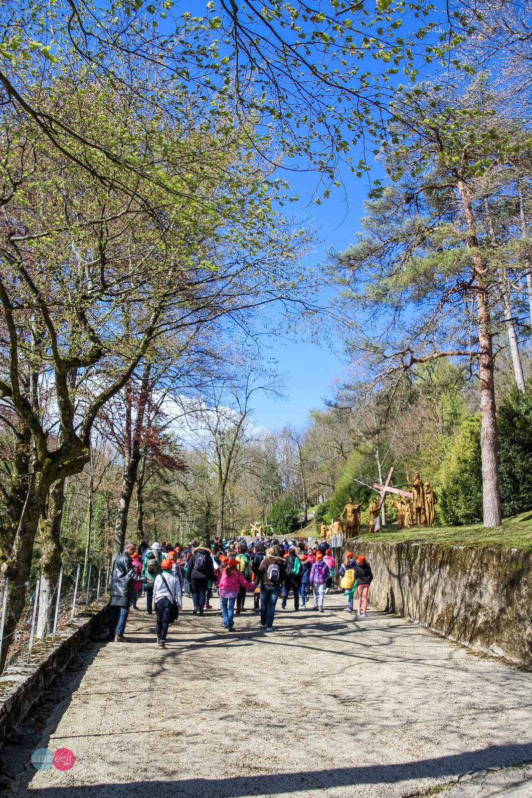 Nom de l'image : 10_111810_0100_N.JUNG_Photographie.Pro — Description :