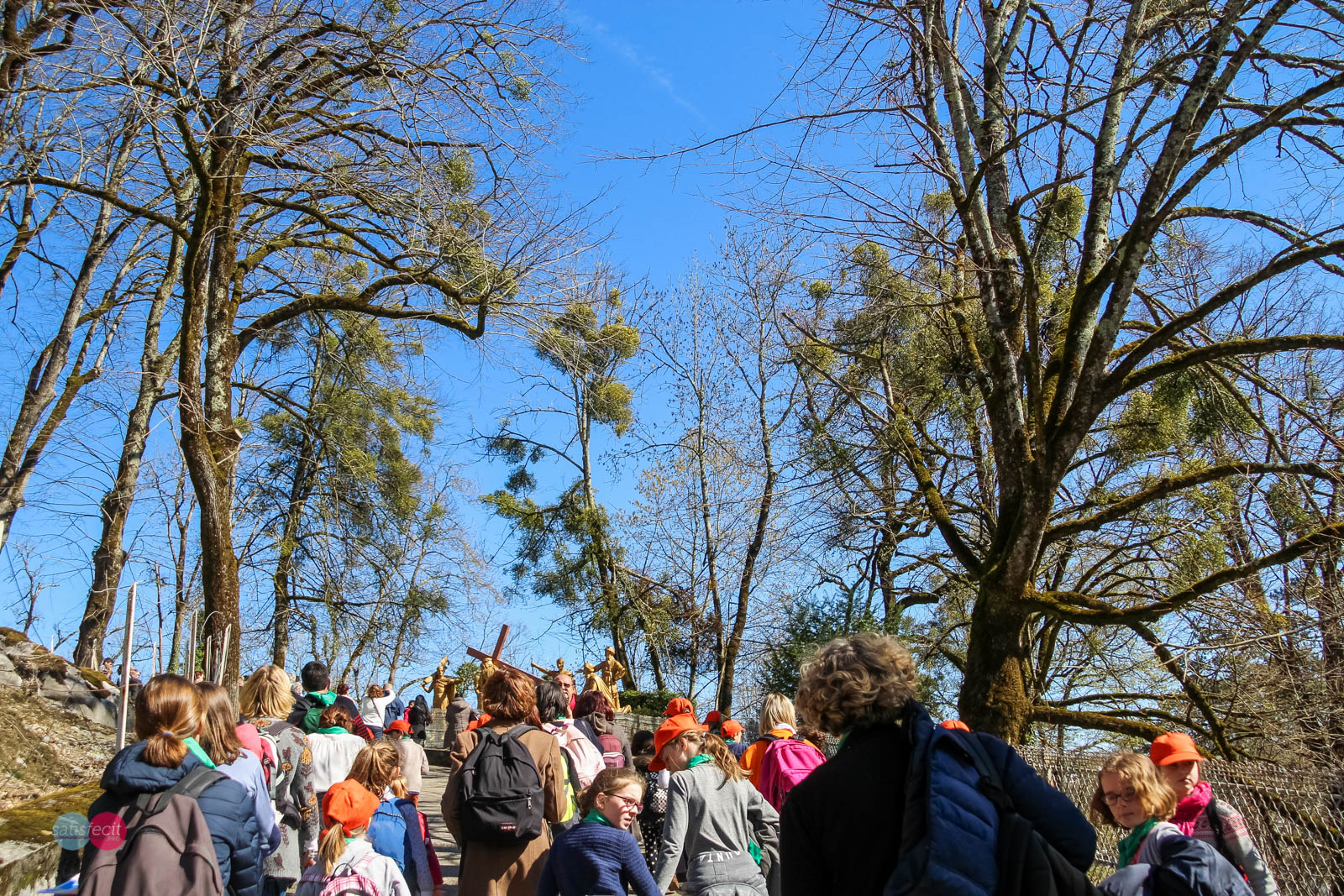 Nom de l'image : 10_113008_0144_N.JUNG_Photographie.Pro — Description :